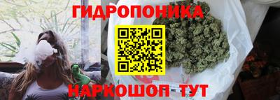 меф Гатчина