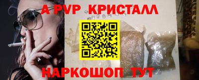 ешки Гай